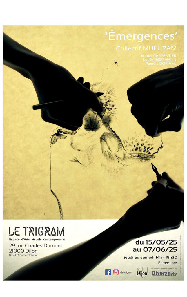 Expo-Emergences_Trigram-©Mulupam